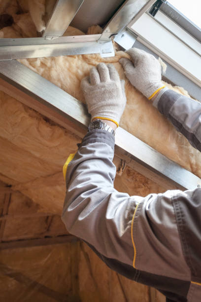 Best Cellulose Insulation  in Hiawatha, KS