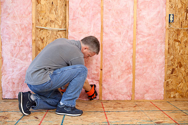 Best Best Insulation Companies  in Hiawatha, KS